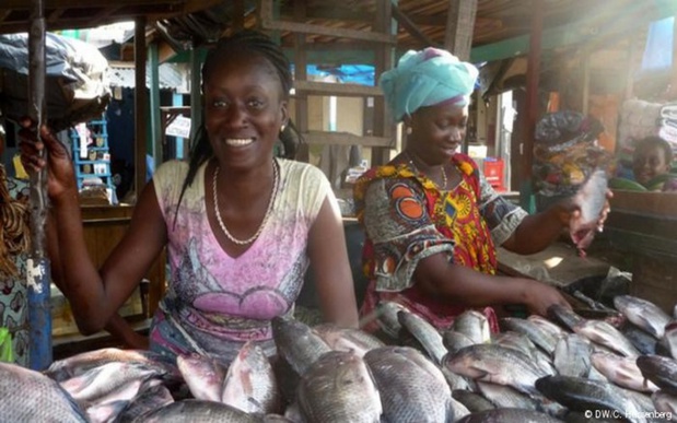 Relance économique post-Covid-19 : l’amélioration des conditions de travail des femmes de la pêche artisanale doit être la priorité des mesures (CAOPA)