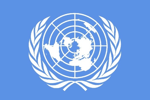 Organisation des Nations-Unies pour le Développement industriel (ONUDI): 10 millions $ perdus avec le départ de la France en 2014