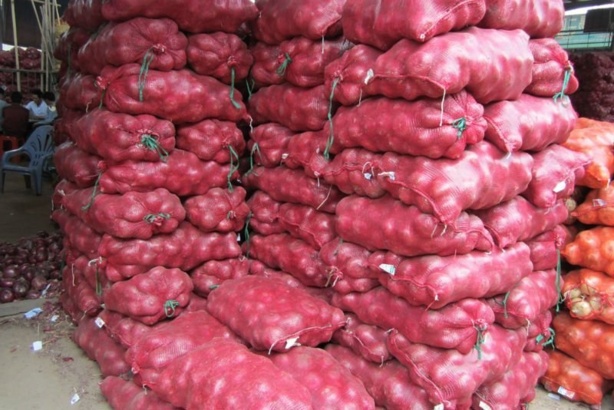 Commercialisation de l’oignon: Gel des importations en octobre Commercialisation de l’oignon: Gel des importations en octobre