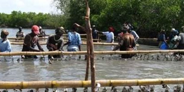 Agropole sud : Le Sénégal et la Bad accélèrent la mise en œuvre