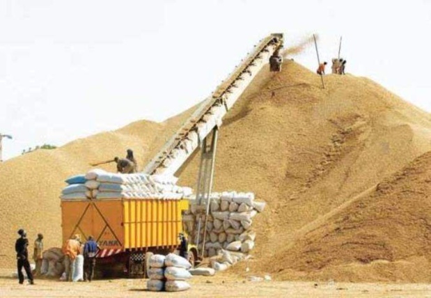 Sénégal : Macky Sall demande la tenue d’une réunion d’évaluation de la campagne agricole 2020-2021 Sénégal : Macky Sall demande la tenue d’une réunion d’évaluation de la campagne agricole 2020-2021