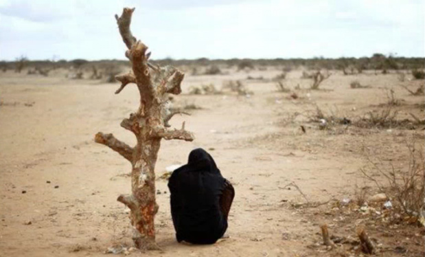 Une transition climatique juste pour l'Afrique