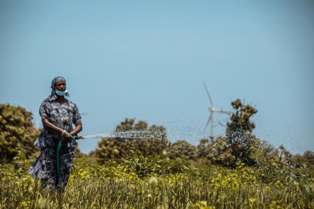 Inclusion socio-économique  des populations Taïba Ndiaye et environs : La Der/Fj et Lekela Power unissent leurs efforts