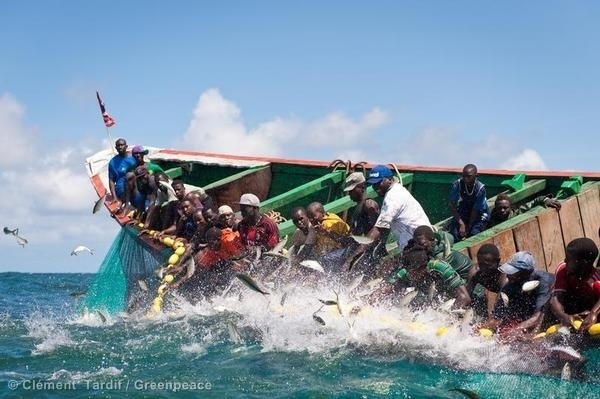 Raréfaction des ressources halieutiques : Un expert appelle les jeunes pêcheurs à se reconvertir Raréfaction des ressources halieutiques : Un expert appelle les jeunes pêcheurs à se reconvertir