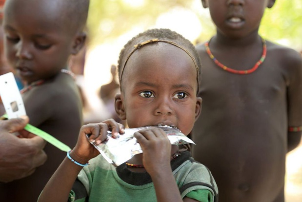 Renforcement de  la sécurité alimentaire en Afrique : Une coalition de banques multilatérales et de partenaires au développement annonce plus de 17 milliards USD