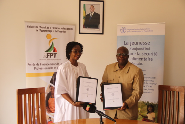 Insertion des jeunes agripreneurs : La Fao et le 3Fpt nouent un partenariat