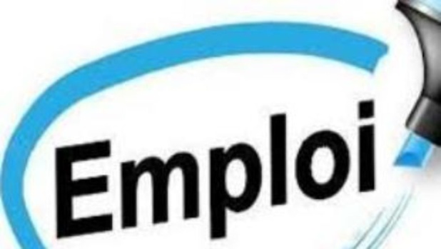 Sénégal : Accroissement de l’emploi salarié au mois de mars Sénégal : Accroissement de l’emploi salarié au mois de mars