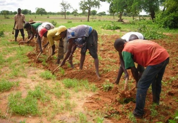 Gestion du foncier rural dans  l'espace UEMOA:  De nouveaux outils pour résoudre la problématique foncière