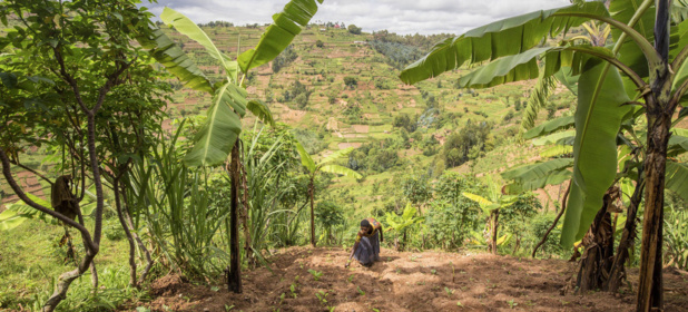 FAO/Petterik Wiggers Des agriculteurs locaux aident à restaurer des terres dégradées au Rwanda