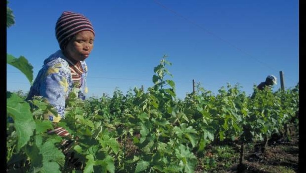 Optimisation des ressources dans les dépenses agricoles: Rechercher des alternatives de financements pour l’agriculture Optimisation des ressources dans les dépenses agricoles: Rechercher des alternatives de financements pour l’agriculture