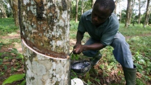 Retour sur investissements : les actionnaires de la SOGB percevront 5,400 milliards FCFA de dividendes le 15 juillet Retour sur investissements : les actionnaires de la SOGB percevront 5,400 milliards FCFA de dividendes le 15 juillet