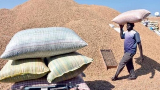 Refinancement partiel de la campagne arachidière 2020-2021 : La Boad octroie un crédit de 10 milliards de FCfa à la Bnde