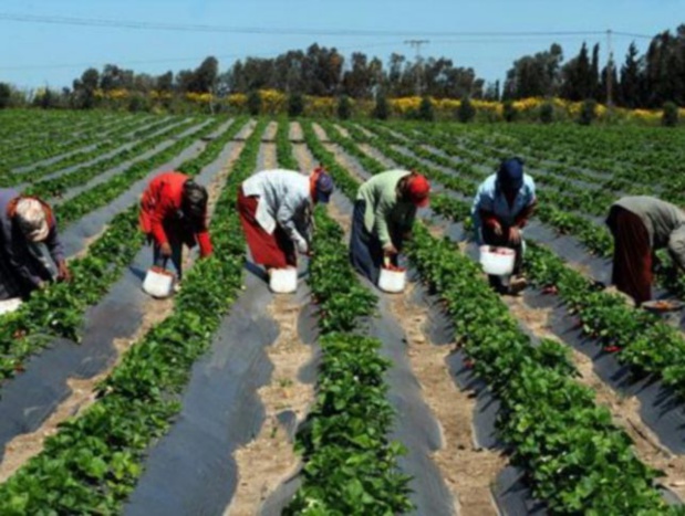 Projet Agropole Centre : Une mission conjointe Bad, Bei, Enabel séjourne au Sénégal