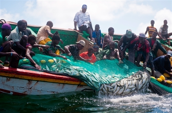 Les revenus des pêcheurs de plus en plus faibles Les revenus des pêcheurs de plus en plus faibles