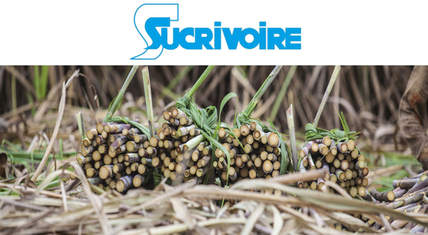 BRVM : Doublement du volume des achats hebdomadaires du titre Sucrivoire durant la semaine du 27 août 2021 BRVM : Doublement du volume des achats hebdomadaires du titre Sucrivoire durant la semaine du 27 août 2021