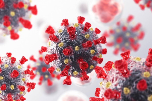 Surveillance et réponse aux épidémies :  Le Groupe Arc et la Fondation Institut Pasteur de Dakar scellent un partenariat