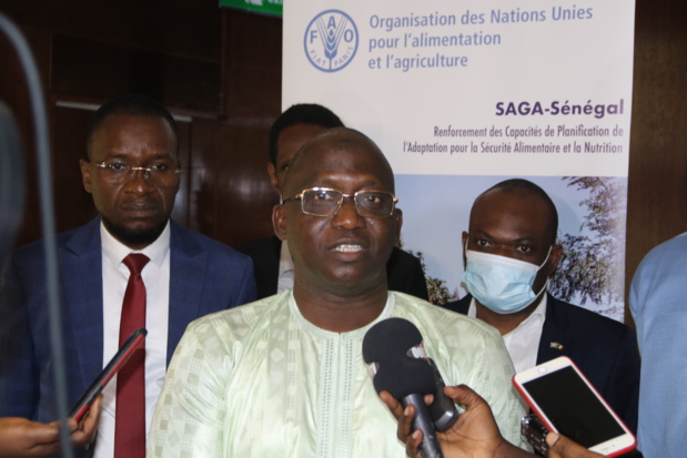 Validation de la stratégie de mise en œuvre de la Cdn : La Fao réitère son engagement à soutenir le Sénégal