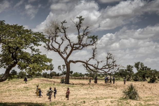 Restauration des terres dégradées en Afrique : Une nouvelle étude révèle la lenteur des progrès accomplis Restauration des terres dégradées en Afrique : Une nouvelle étude révèle la lenteur des progrès accomplis
