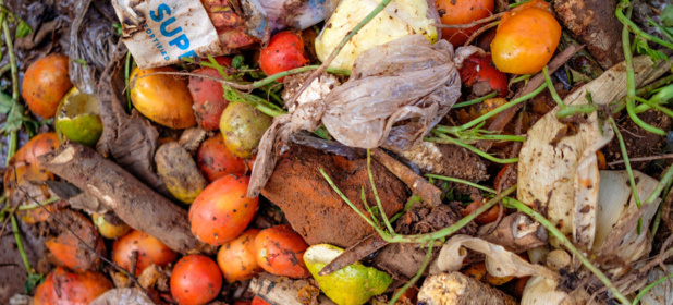 Alors que 811 millions de personnes souffrent de la faim, le monde gaspille 17% de la nourriture qu'il produit
