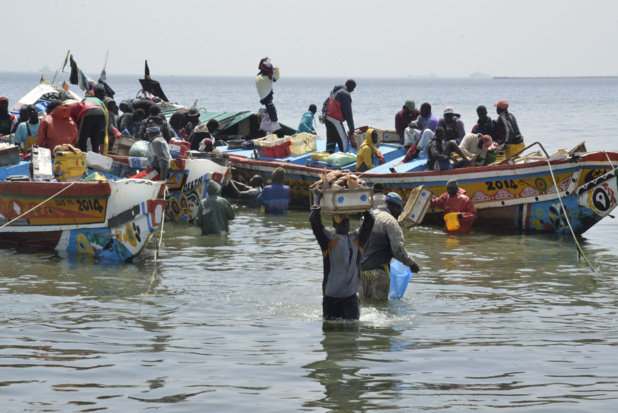 Sénégal : La durabilité de la pêche passe par une gestion transparente du secteur, selon un acteur
