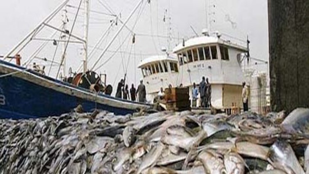 La FiTI, une opportunité du Sénégal pour vulgariser les efforts de l'Etat pour le développement de la pêche