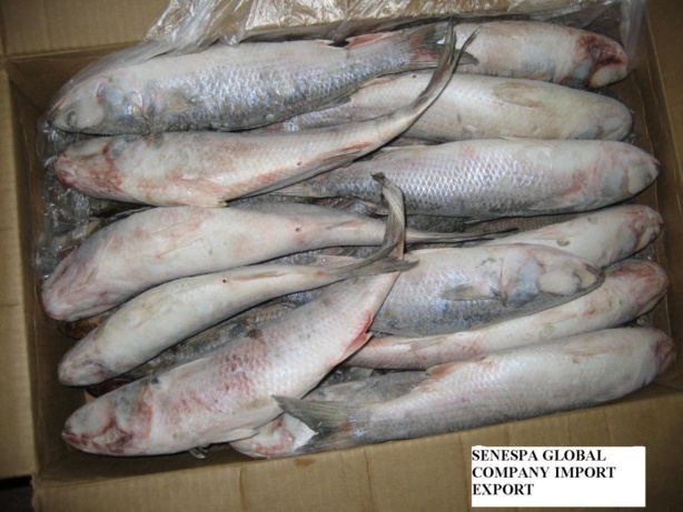 Exportations de biens du Sénégal en 2011 : Une manne financière estimée à 725 milliards de FCFA Exportations de biens du Sénégal en 2011 : Une manne financière estimée à 725 milliards de FCFA