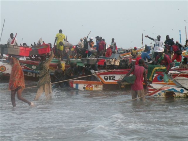 Etude Sectorielle sur la pêche maritime : Pour une meilleure gestion des produits halieutiques Etude Sectorielle sur la pêche maritime : Pour une meilleure gestion des produits halieutiques
