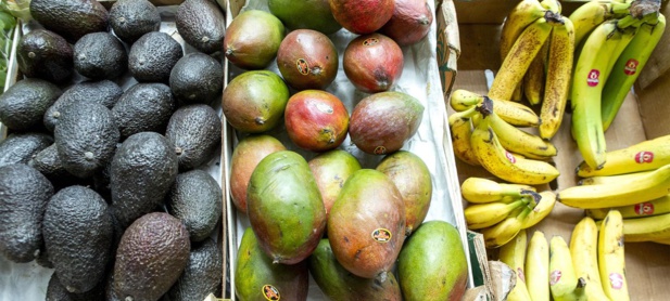 Denrées alimentaires : les prix mondiaux au plus haut depuis juillet 2011 (FAO) Denrées alimentaires : les prix mondiaux au plus haut depuis juillet 2011 (FAO)