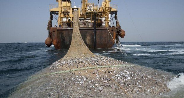 7 pays ouest-africains s’accordent pour lutter contre la pêche illicite qui coûte près de 2 milliards d'euros de pertes par an 7 pays ouest-africains s’accordent pour lutter contre la pêche illicite qui coûte près de 2 milliards d'euros de pertes par an