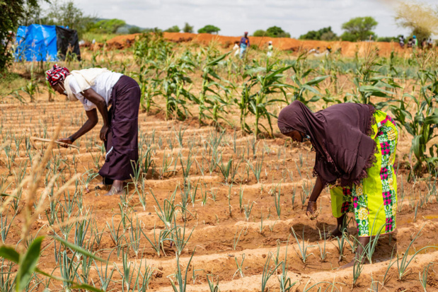 Réponse aux Covid-19, aux conflits et changement climatique au Sahel :  Le G5 Sahel et des Agences de l’Onu lancent un programme conjoint