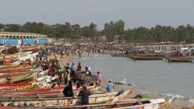 Sénégal : Feed The Future ‘’Dekkal Geej’’ veut ''accroître'' les capacités d’influence des femmes de la pêche artisanale