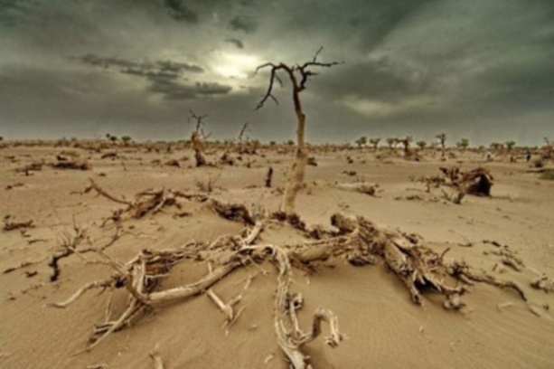 Afrique: La CEA favorable au renforcement des positions de négociation de l'Afrique à la COP19 Afrique: La CEA favorable au renforcement des positions de négociation de l'Afrique à la COP19