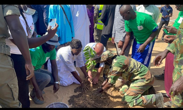 Ndiaganiao : l’ambassade d’Israël appui un projet de reboisement de mille arbres fruitiers et ombragés