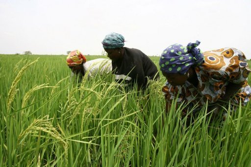 Vallée du Fleuve Sénégal