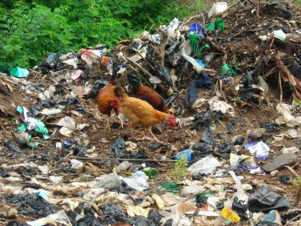 Kaolack, Tivaouane et Ziguinchor en course pour améliorer la gestion des déchets Kaolack, Tivaouane et Ziguinchor en course pour améliorer la gestion des déchets