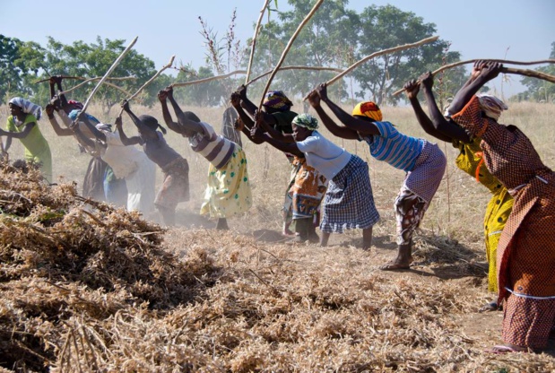 Secteur informel : Lancement d’un projet de renforcement de la résilience socio-économique des femmes