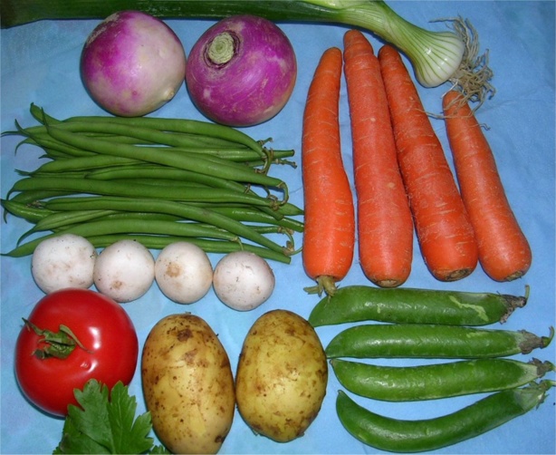 Maraîchage : 700.000 tonnes produites en 2013