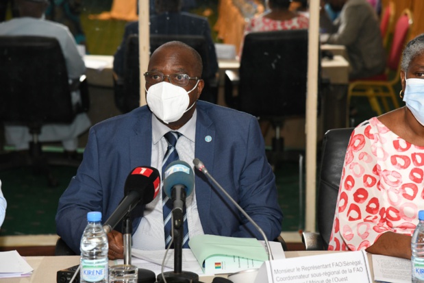 Résistance aux antimicrobiens : La Fao met en exergue les différentes implications de la Ram Résistance aux antimicrobiens : La Fao met en exergue les différentes implications de la Ram