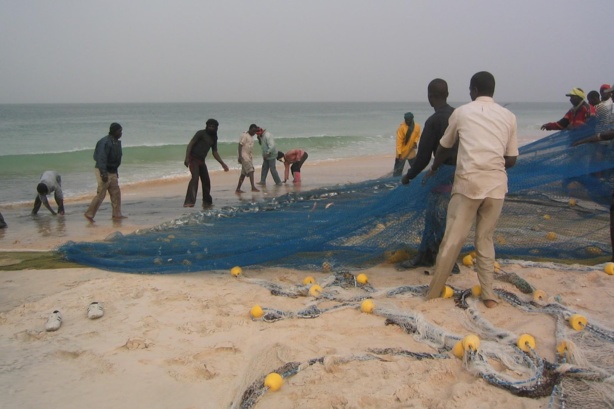 Vers la rationalisation de la pêche au poisson Vers la rationalisation de la pêche au poisson