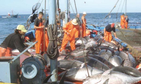 Maroc: Vers l'adoption finale de l'accord de pêche entre le Maroc et l'UE Maroc: Vers l'adoption finale de l'accord de pêche entre le Maroc et l'UE
