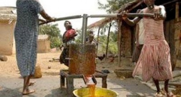 Mbour : l'ANCAR lance un projet d'assainissement de l'huile artisanale Mbour : l'ANCAR lance un projet d'assainissement de l'huile artisanale