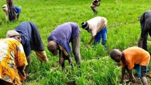 Mali : Le taux de croissance du Pib ressort à -1,2% en 2020