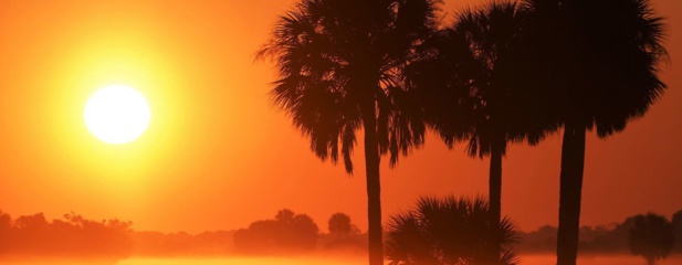 Climat : 2021 a été l’une des sept années les plus chaudes jamais observées (OMM) Climat : 2021 a été l’une des sept années les plus chaudes jamais observées (OMM)