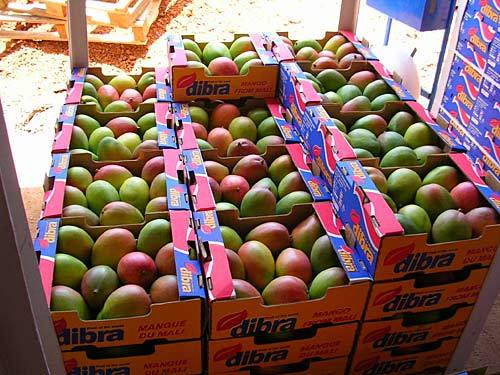 Le Mali de nouveau éligible au régime de préférences commerciales américain AGOA Le Mali de nouveau éligible au régime de préférences commerciales américain AGOA