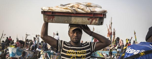En cette Année de la pêche et de l’aquaculture artisanales, la FAO plaide pour un secteur qui a du mal à se faire entendre En cette Année de la pêche et de l’aquaculture artisanales, la FAO plaide pour un secteur qui a du mal à se faire entendre