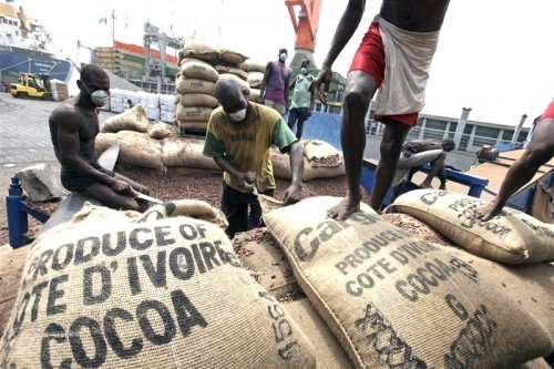 « Les performances ivoiriennes et ghanéennes réduiront le déficit mondial de cacao cette saison » « Les performances ivoiriennes et ghanéennes réduiront le déficit mondial de cacao cette saison »