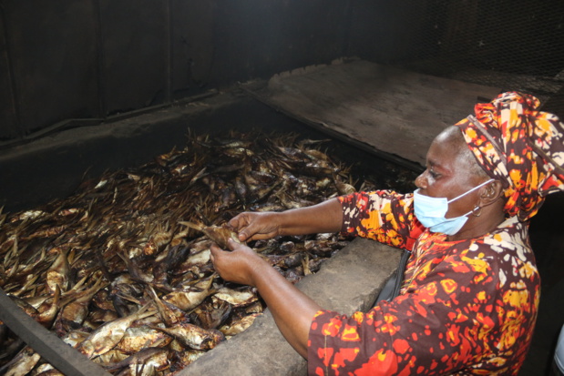 Ziguinchor :  La Fao aide à réhabiliter la plateforme de transformation de poisson de Fanda