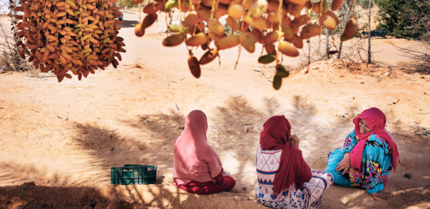 Soutien à la résilience des moyens d’existence face au Covid-19 :  La Fida fait un don de 1,07 million d’USD à la Somalie