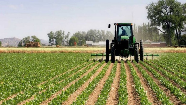 Campagne agricole 2022-2023 : Le budget validé s’élève à 70 milliards de FCFA