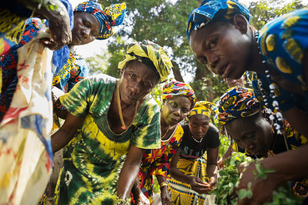 Autonomisation économique, résilience des femmes au Liberia et au Mali : Orange et Onu femmes conjuguent leurs efforts